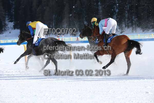 ET0Q0792 prot